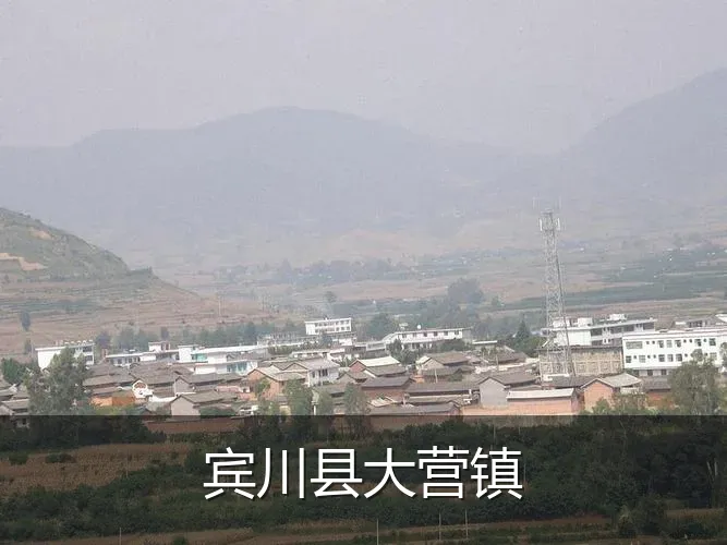 宾川县大营镇